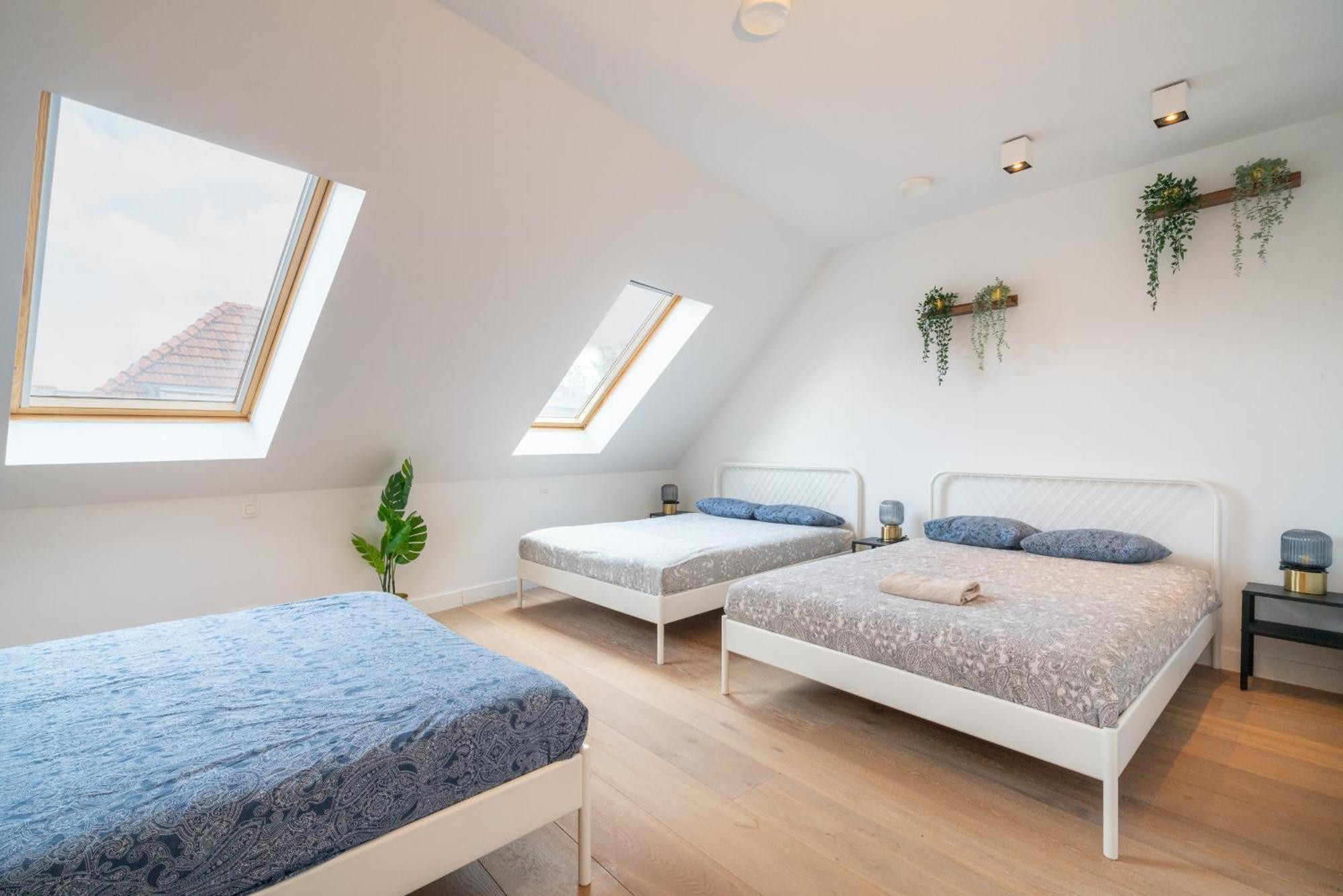 Light House Lodge. Apartment In Center Of אנטוורפן מראה חיצוני תמונה